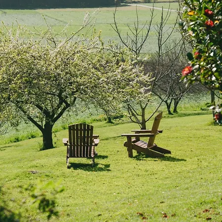 Rural El Conceyu * Cabanella
